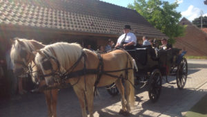 Huwelijksfeest - Het Notelaarshof